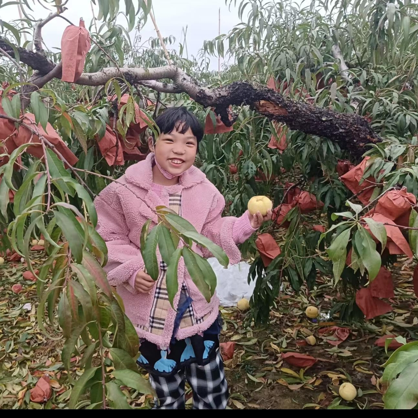 宝妈首播海报