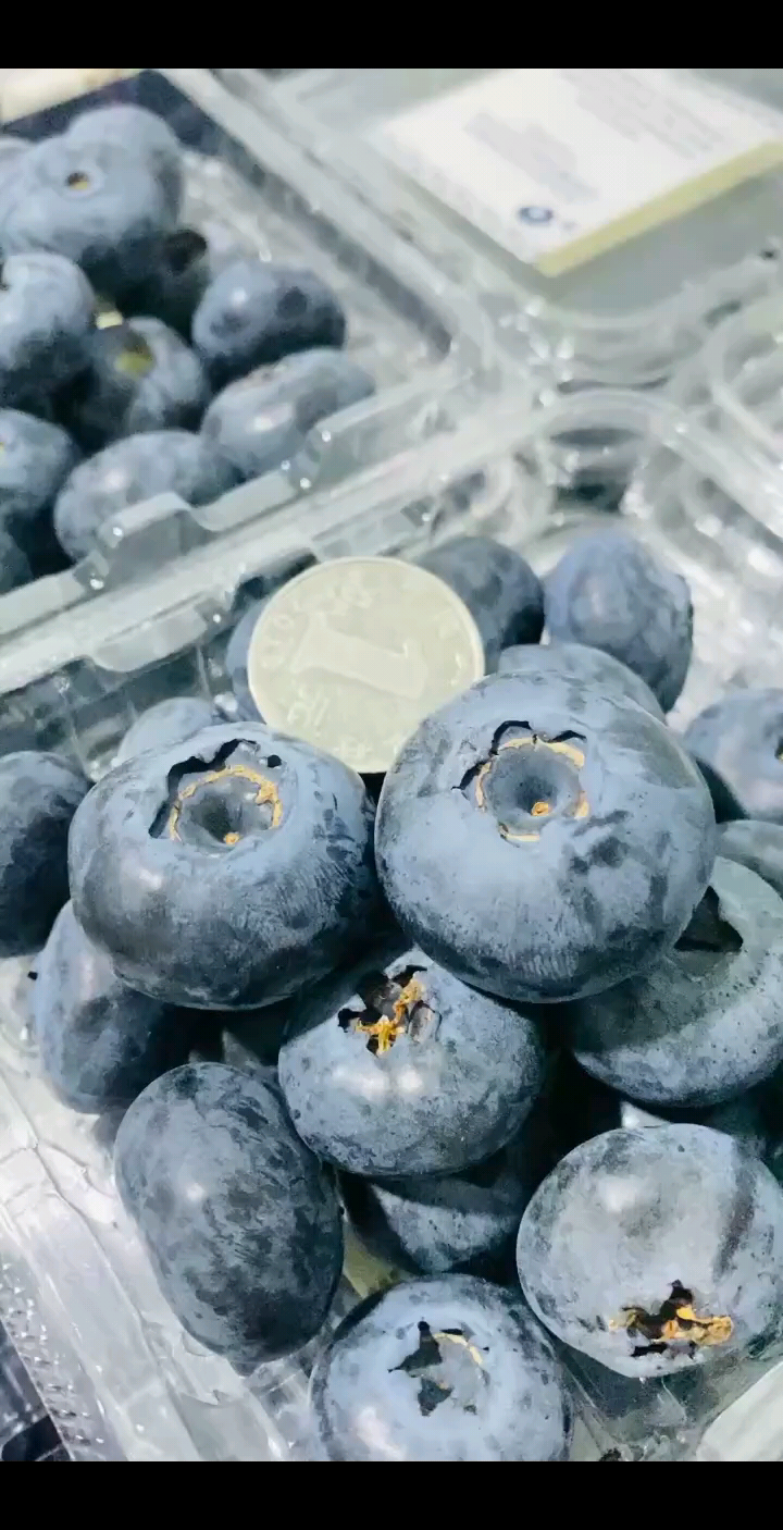 限量版蓝莓