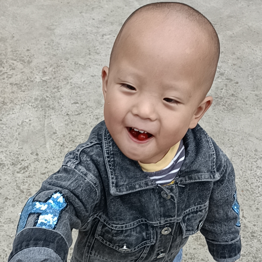 绝望的陶陶▧海报