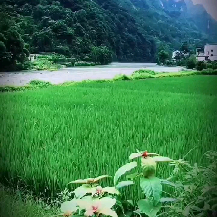 此账号已注销海报