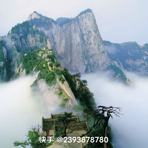 人生的警戒线海报
