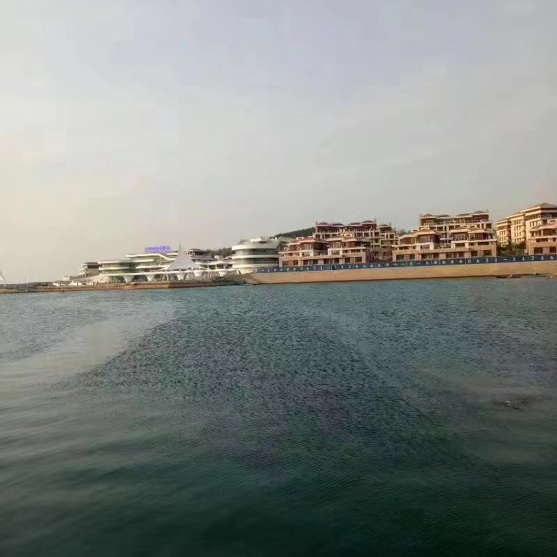 05潇傻海报