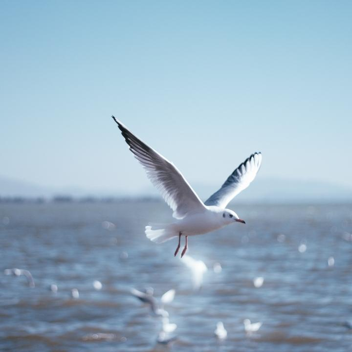 此账号已注销海报