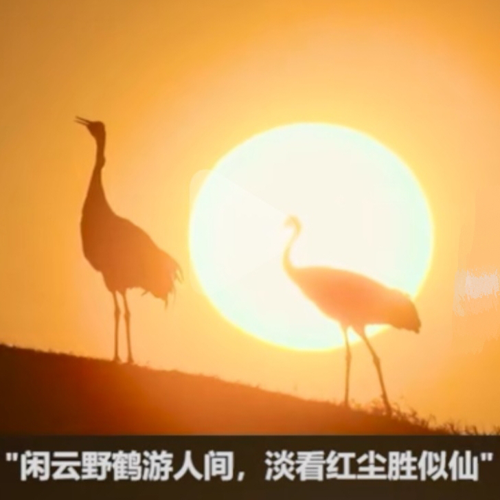 ╰✦昕耀✦海报