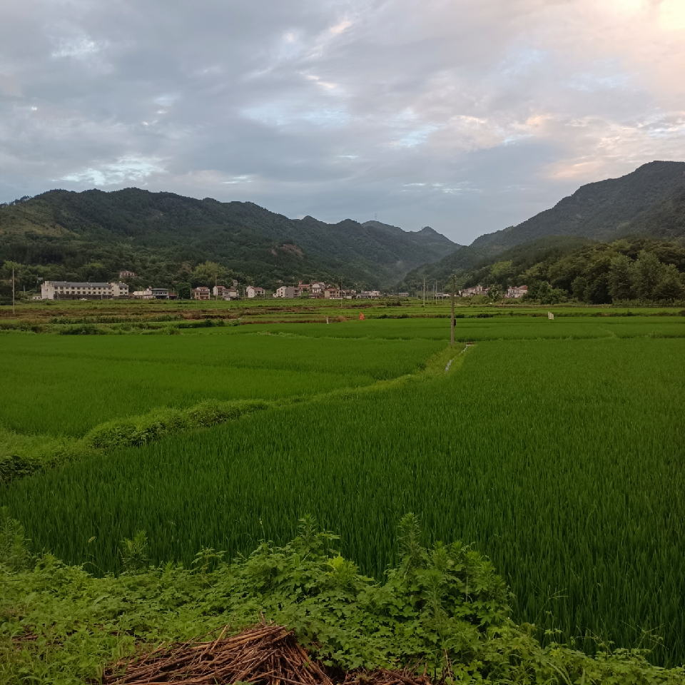 平安夜♥重返江湖海报