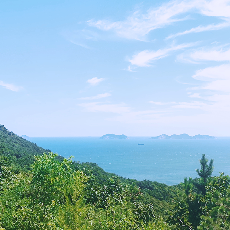 他自山海来～海报