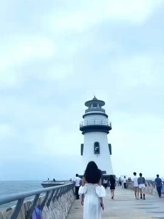 是风就应该自由