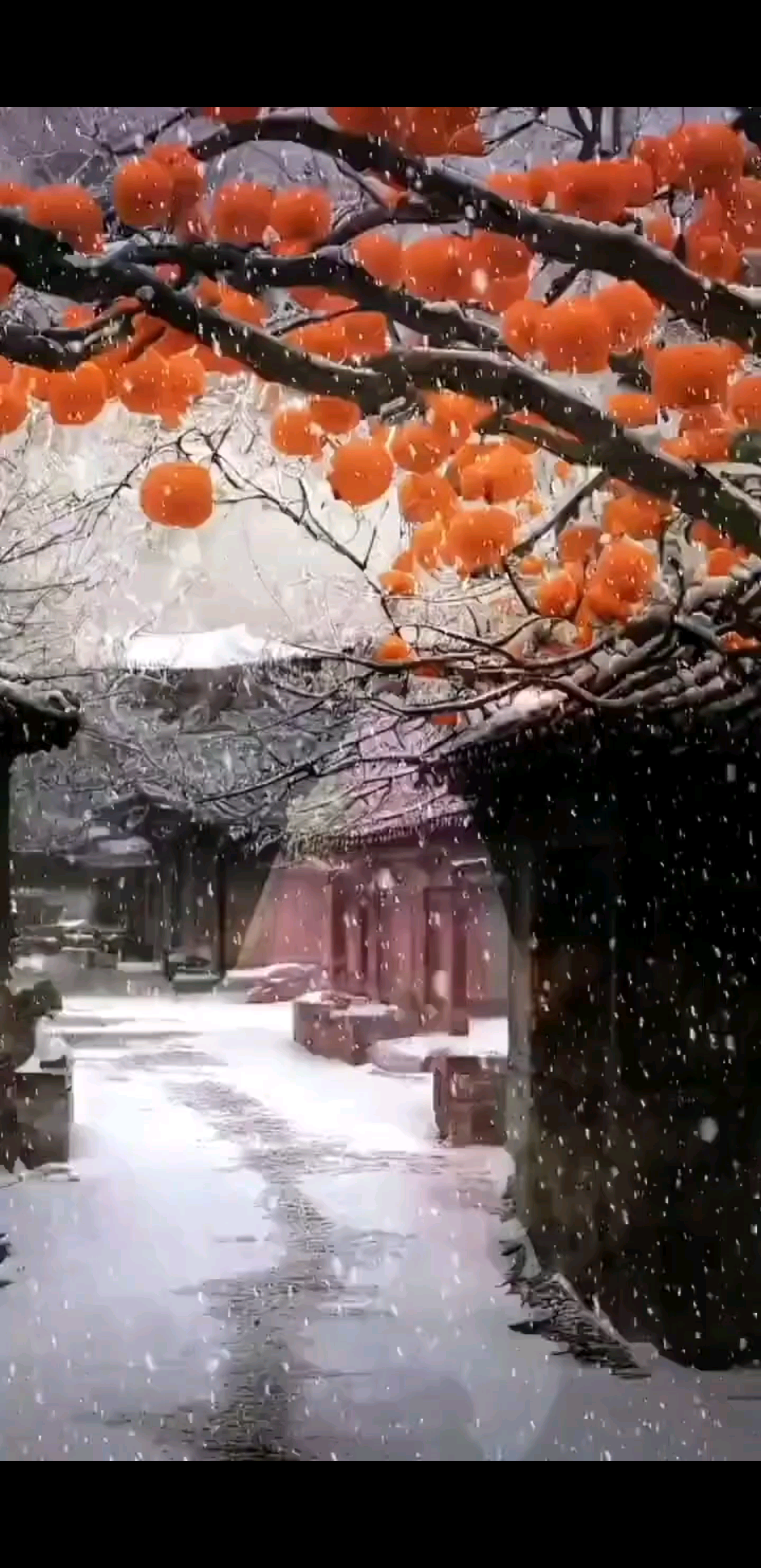 漫天飞雪