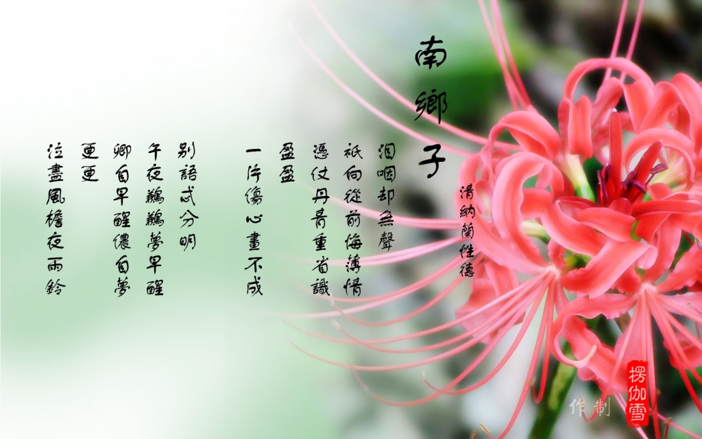 kongchenji个人动态 - kongchenji直播间 - 美女视