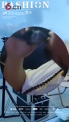 大坤遇知音