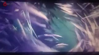 就问你晕不晕