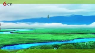 春阳-4