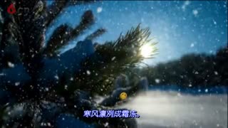 雪-QG