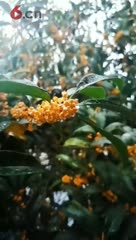 鬼迷心窍