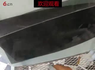 玻璃贴膜 后档烤膜精细讲解教程
