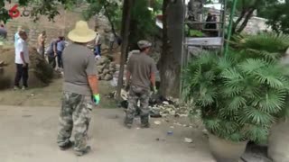 森林公园仿石仿木仿树雕塑修复仿生态纪实