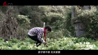 西卡中国2020图书馆计划——“西”望远航，梦想发光