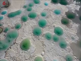 青海茫崖市翡翠湖