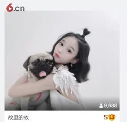 小狗圆舞曲