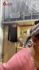 房间号781330-20191022210916203
