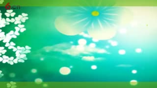 春阳-2