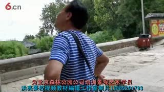 北京森林公园千年古刹古树群保护性修复植树皮工程（2）