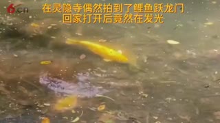 希望能够增加你的能量