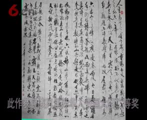 张合艺术作品展