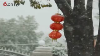 冬韵-7