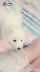 女帝