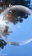 初伏安康