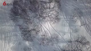 新泻滑雪度假区高难度雪道感受运动魅力